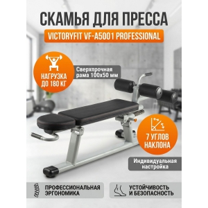 ������ ��� ������ VictoryFit VF-A5001