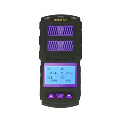   Ermenrich NG60, 