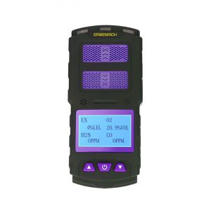   Ermenrich NG60, 