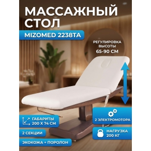 ��������� ���� Mizomed 2238TA