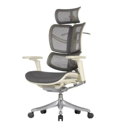 ������ � ��������� Falto Fly 2 �����, �������