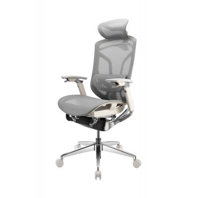 ������� ������������ ������ GTCHAIR Chair Dvary X Pro, �����
