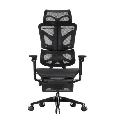 ������ � ��������� Falto BLACK DIAMOND ����� �������, ���������� �� �������������, �����, ������