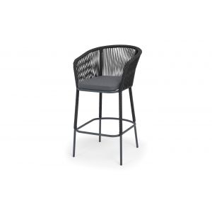 ���� ������ �������� �� ����� 4SIS �������