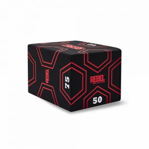 ��������������� ���� REBEL ��������������� ���� 3 � 1 REBEL