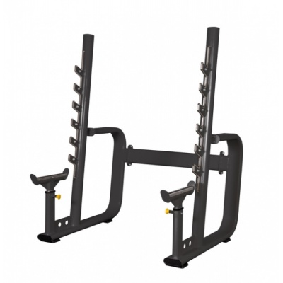       Spirit Fitness AFC101