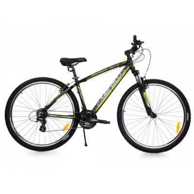   - Meratti Protus Sport