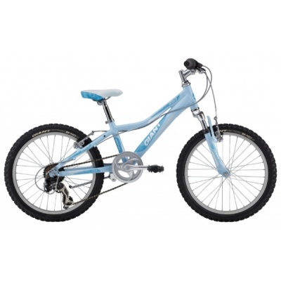   Giant Areva 2 20 2013